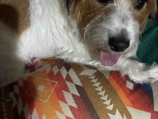 今日もー