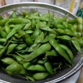 新潟の夏のキング オブ おつまみ！最高クラスの新潟市西区の朝もぎ枝豆ザル一杯でガブガブ晩酌！