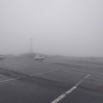 ウシ子とウシ夫の牛歩旅