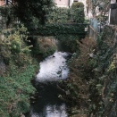 26.02.07 熊本 6/8 (25.01.04撮影)