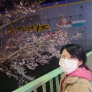 ウェンズデイズ 2026年4月の予定