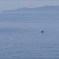 ６月１４日（日）１～２便