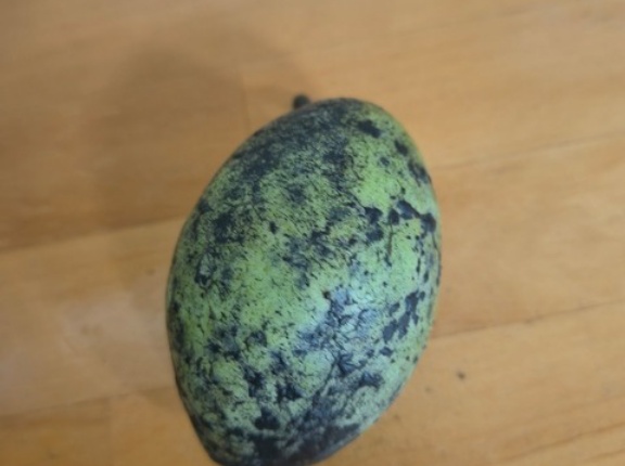 「ポポー」とかいう謎の果物貰ったんだがｗｗｗｗｗｗｗ