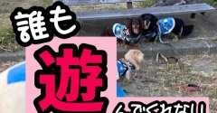 気合いを入れて行ったのに。