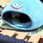 40代どう暮らしたら楽しい？blog