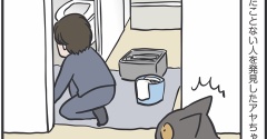 びっくりするぐらい猫の首が長かった