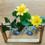 【 オオフミ少年日記　ＴＷセローエンジンチューニング＆オーバーホールの日々 】