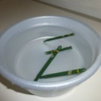 yoshimonのラジコン日記