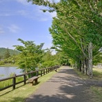 フィンドホーン・ライフ　～スコットランドから始まった旅～　Findhorn Life　　　　　　 ～Traveling from Scotland～