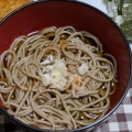 長野土産の新そば「信州生そば」