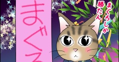 今日は七夕！