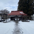 「雪でも降ってくれないかな…」そんな気持ちです…