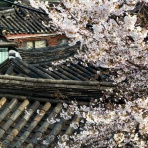 熊山准のおブログ