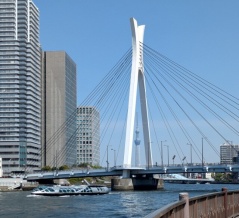 やきそば持ってお花見へ