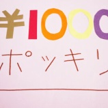 『楽天マラソン買いまわりに1,000円ポッキリ集めてみました』の画像