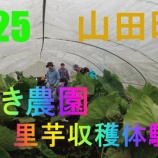 『いわき農園　秋の野菜収穫体験　2025』の画像