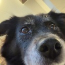 冬は終わりか・・・