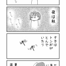 昼は夏、夜は秋