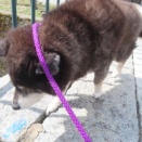 ポカポカ陽気のせいで