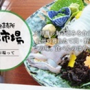 相変わらずの休日