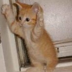 もう夫はいらない