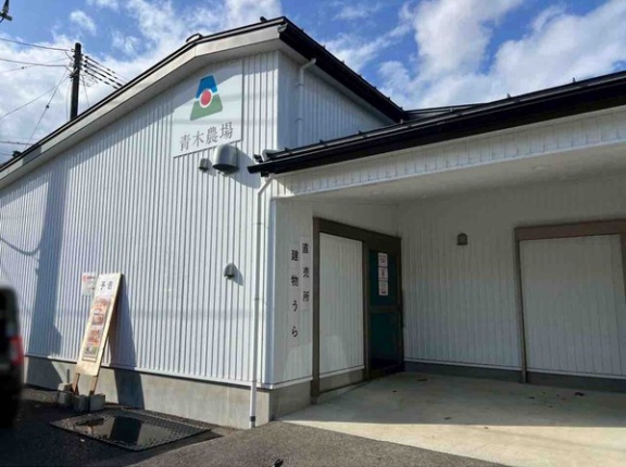 年内ラストの大人気直売会！詰め放題も！西区木場『青木農場』で『農場直売会』開催！11月15日。