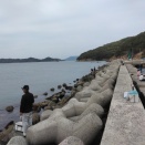 今期初のチヌ釣り　26/04/14