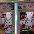 台湾人（中国語話者）の日本語習得の弱点とは？
