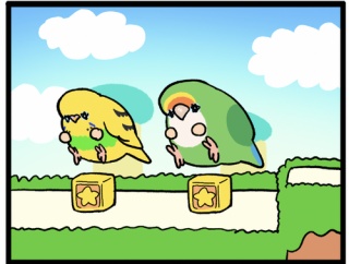 【ゴルちゃんリスペクト】カチョ、どんどん地鳴きが失われていく