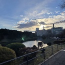 🌸 都心の中の自然と、理念の深まり