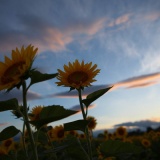 ノスタルジック厨の俺がひたすら好きなピアノ曲を紹介してくスレ
