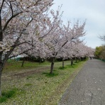 東京都庁水泳部公式ブログ
