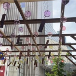 『今の仕事が向いてないと思った時に考えること　vol.4094』の画像
