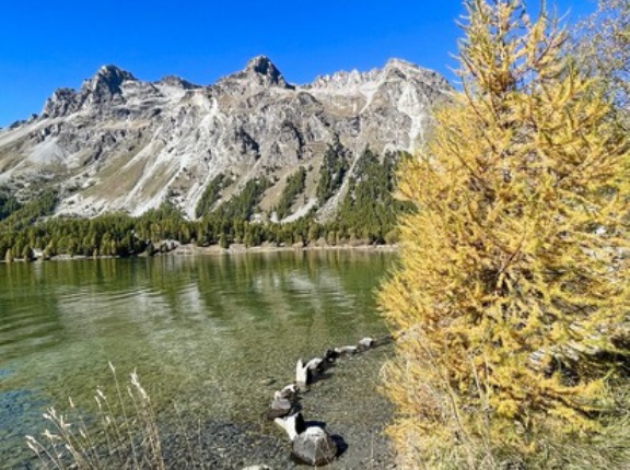 黄金に輝く秋のエンガディン地方を旅しています🇨🇭