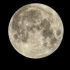 『投稿：BORG＋スマホで捉えたハンターズムーン【追記】　2021/10/23』の画像