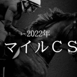 『マイルＣＳ(G1)優勝馬の必須条件』の画像