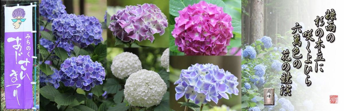 フォト短歌游々日記 イメージ画像