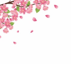 次女の高校受験…願いは叶いませんでした( ﾉД`)