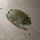 夜中にお客さんが