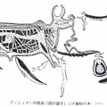 ひめ伝説をあつめてみる　その３　瀬織津姫・比売許曾・織女＝呉姫