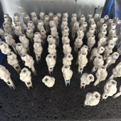 ����������