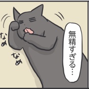 省エネすぎる猫