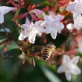 人の視点・虫の視点