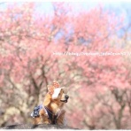 ☆みゅうと一緒☆