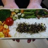 『2023/6/8のパートナーの相棒のボリューミーお弁当 【#お弁当】【1891個目】』の画像