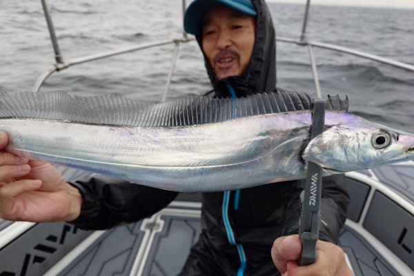 TOKYOBAY FISHING GUIDE SERVICE Glory(グローリーフィッシング) - 青物