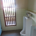 トラさんの純真