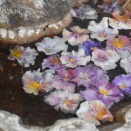 今季最低気温庭の温度計は－６℃（(ﾟдﾟ)！