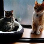 だいじろう日和。