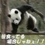 くまニュース